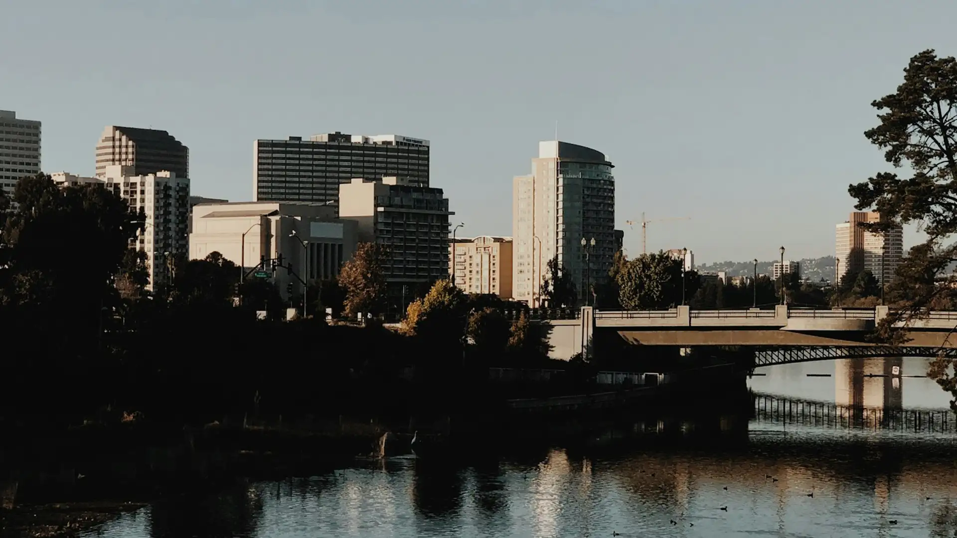 Oakland Freeway Crash Lawyers Known for Beating Insurance Companies